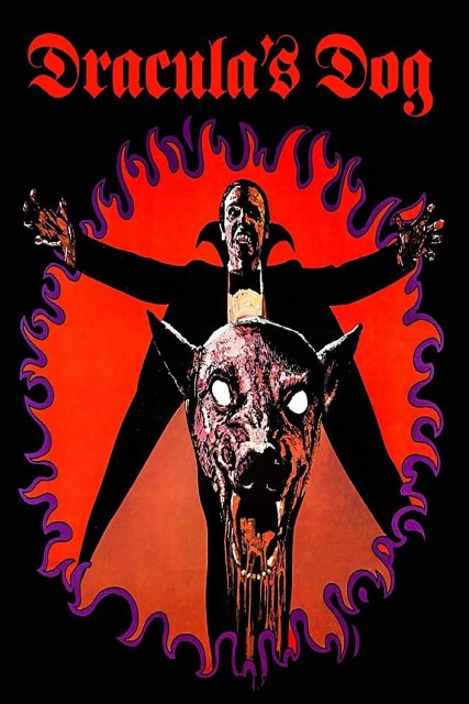 Zoltan, Hound of Dracula (1978) Horror Movie Review — Plot, Cast, Analysis & Where to Watch