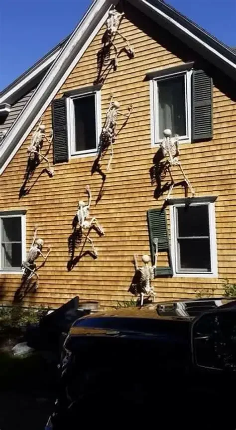 Day 70 Halloween Countdown: DIY Skeletons are the best for Halloween